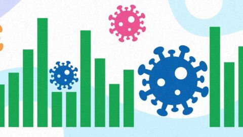 Addressing the Accountability Challenge of Missing Data With A Performance Profile