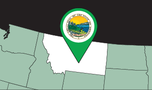 CFA__Assessment - Montana