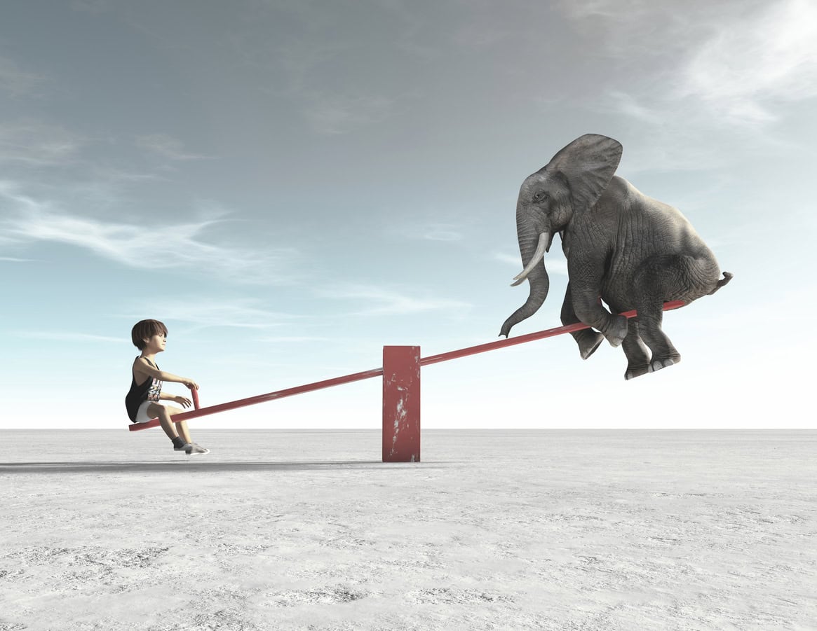 Child on a see saw with an elephant on the other end. The child's side of the see saw is tilted closer to the ground, showing that the child's side has more weight that the elephant's.